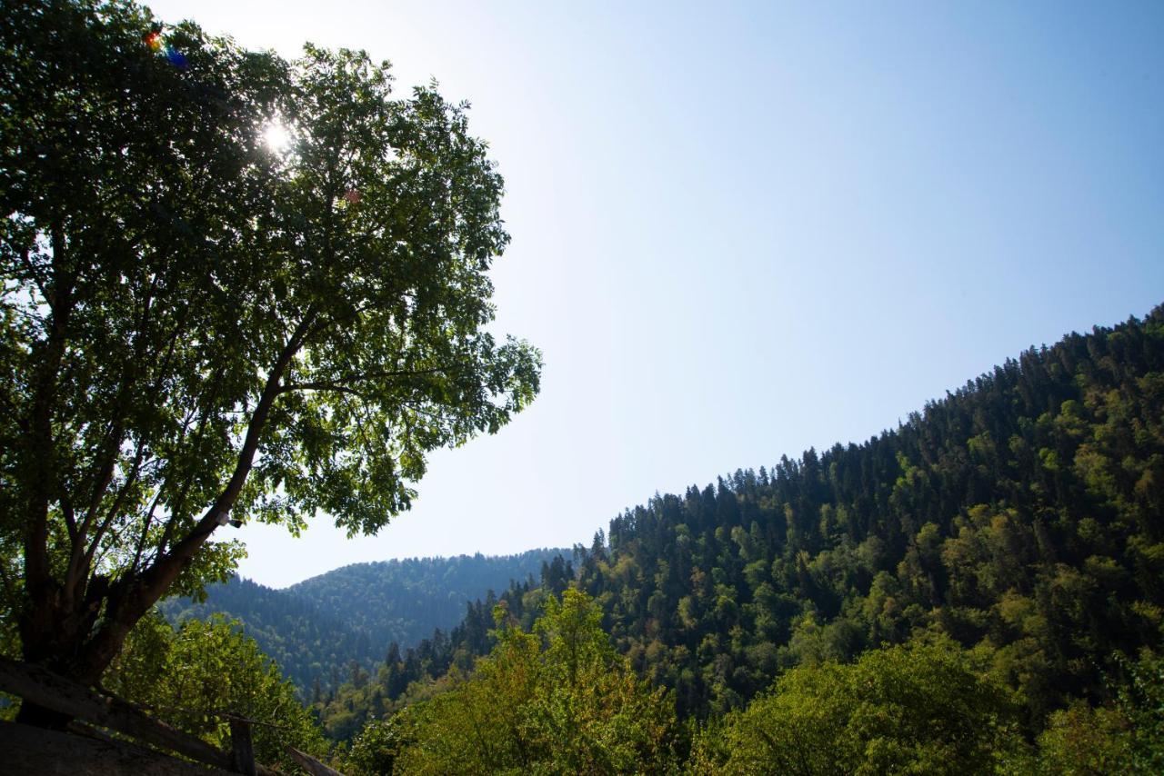 Landhaus Borjomi Eksteriør billede