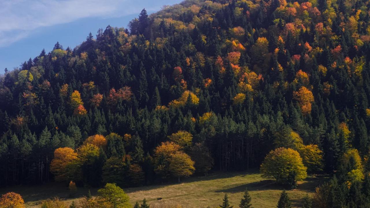 Landhaus Borjomi Eksteriør billede