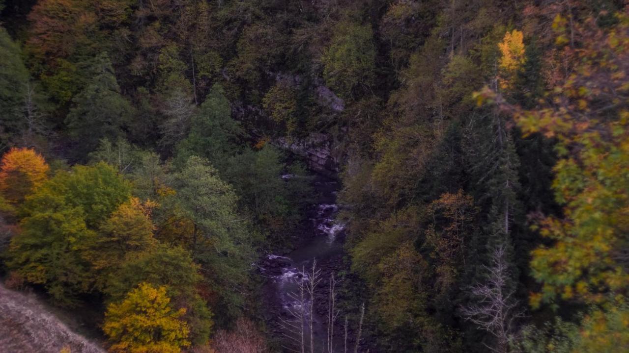 Landhaus Borjomi Eksteriør billede