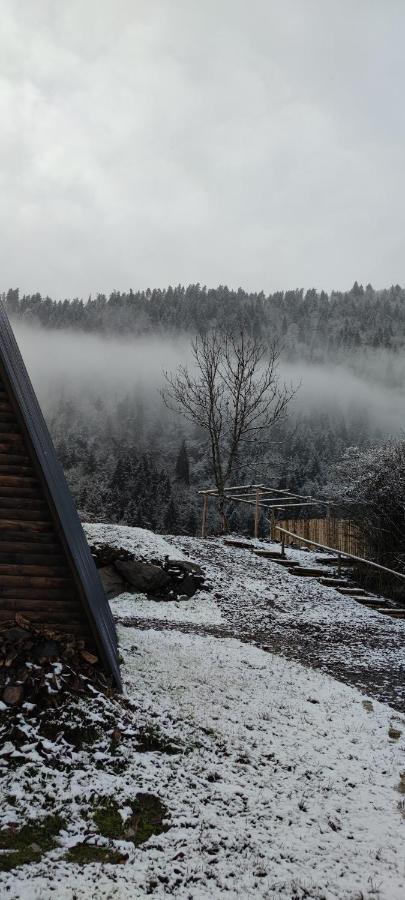 Landhaus Borjomi Eksteriør billede