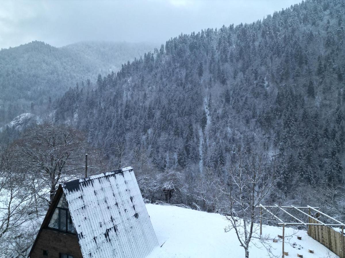 Landhaus Borjomi Eksteriør billede