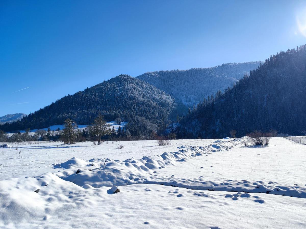 Landhaus Borjomi Eksteriør billede