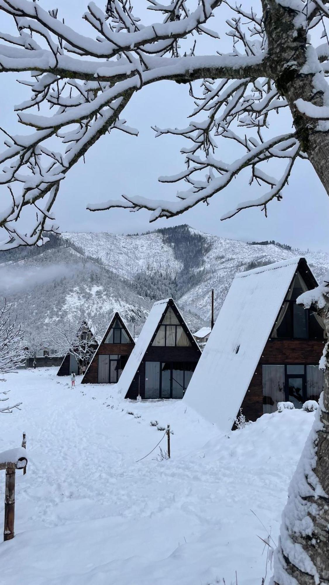 Landhaus Borjomi Eksteriør billede