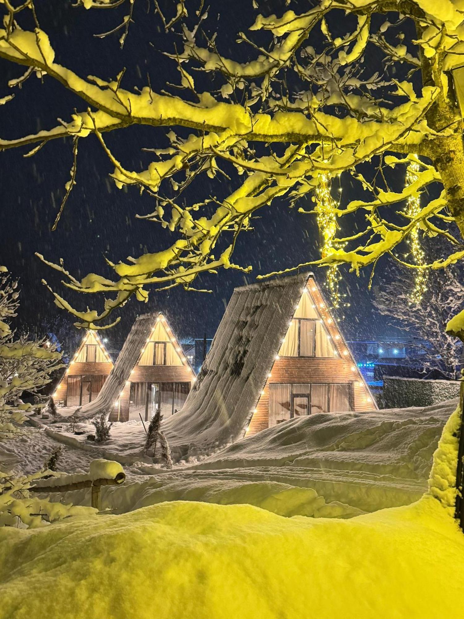 Landhaus Borjomi Eksteriør billede